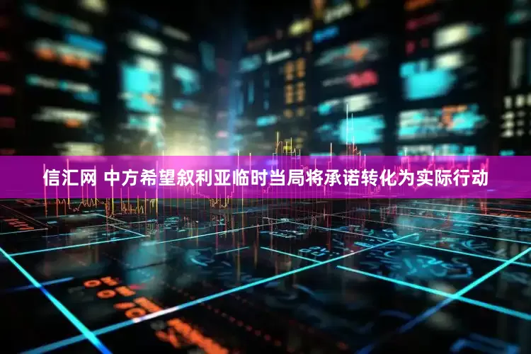 信汇网 中方希望叙利亚临时当局将承诺转化为实际行动