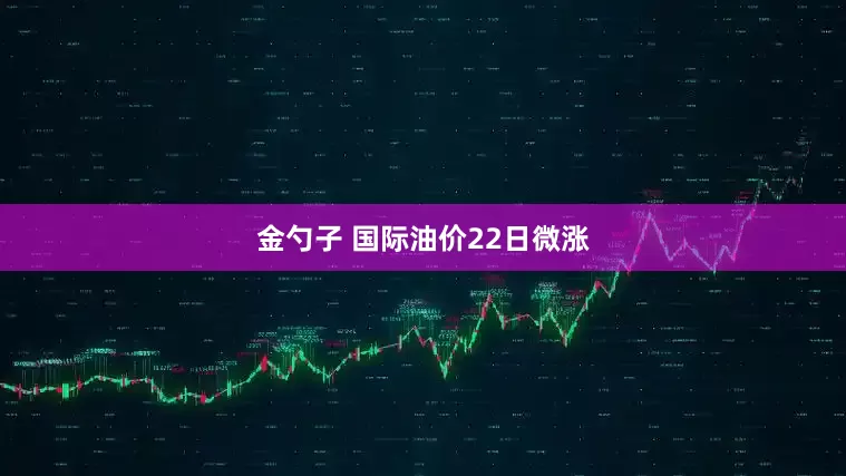 金勺子 国际油价22日微涨