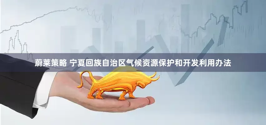 蔚莱策略 宁夏回族自治区气候资源保护和开发利用办法