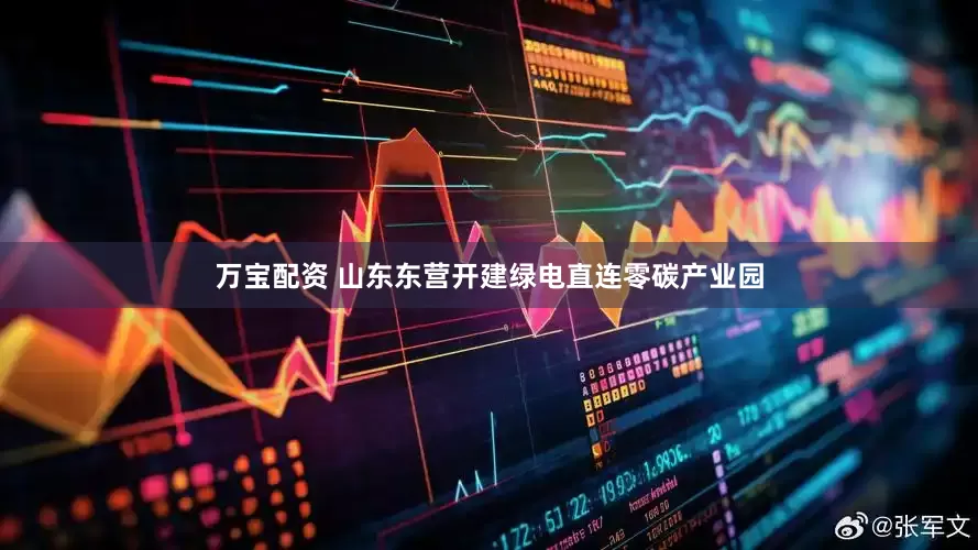 万宝配资 山东东营开建绿电直连零碳产业园